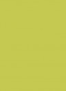 Little Greene Masonry Paint - Pale Lime 70 - 5l