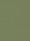 Little Greene Masonry Paint - Sage Green 80 - 5l