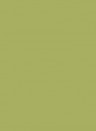 Little Greene Masonry Paint - 5l - Boxington 84