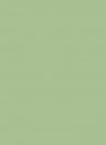 Little Greene Masonry Paint - Pea Green 91 - 5l