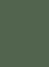 Little Greene Intelligent Matt Emulsion Archive Colour - Mid Brunswick Green 126 - 5l