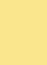 Little Greene Intelligent Exterior Eggshell Archive Colour - Pantry Cream 51 2,5l