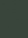 Paint & Paper Library Architects All Surface Primer - 0,75l - Stable Green 554