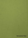 Terrastone Rustique floor - 15kg - 89 - Spring Green