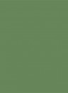Sanderson Active Emulsion - Botanical Green - 0,125l