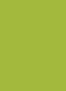 Brillux Lacryl-PU Schultafellack 258 - 3l - lime
