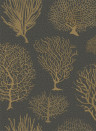 Cole & Son Carta da parati Seafern - Black/ Gold