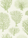Cole & Son Carta da parati Seafern - Soft Green