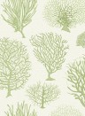 Cole & Son Wallpaper Seafern Soft Green