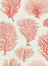 Cole & Son Carta da parati Seafern - Coral