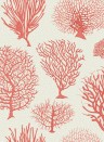 Cole & Son Wallpaper Seafern Coral
