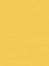 Estate Emulsion - 2,5l - Yellow Ground 218