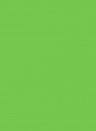 Little Greene Absolute Matt Emulsion - 2,5l - Phthalo Green 199