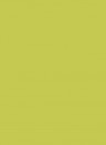 Little Greene Absolute Matt Emulsion - 2,5l - Pale Lime 70