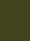 Little Greene Intelligent Matt Emulsion - 1l - Olive Colour 72