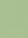 Little Greene Absolute Matt Emulsion - 1l - Pea Green 91