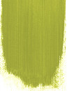 Designers Guild Perfect Floor Paint - 2,5l - Greengage 100
