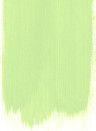 Designers Guild Perfect Floor Paint - 2,5l - Green Melon 102