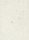 Terrastone Rustique floor - 15kg - 03 - indisch hellgrün