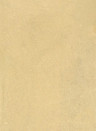 Terrastone Rustique floor - 15kg - 08 - gelbocker