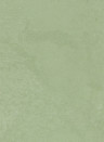 Terrastone Rustique floor - 15kg - 09 - indisch dunkelgrün