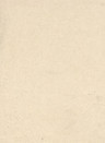 Terrastone Rustique floor - 15kg - 20 - champagner sienna