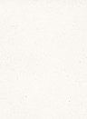Terrastone Rustique floor - 15kg - 36 - bianco di carrara
