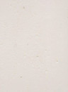 Terrastone Rustique floor - 15kg - KB6 - Beton Opal