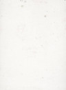 Terrastone Rustique floor - 15kg - KB7 - Edelweiß