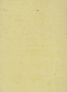 Terrastone Rustique floor - 15kg - 91 - Vanillegelb - 15 kg