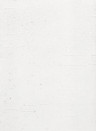 Terrastone rustique - Probeset - 11 -  marmorweiss - 400 g