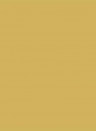 Sanderson Active Emulsion - Woodland Yellow - 2,5l