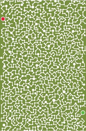 Wandbild labyrinth - grün