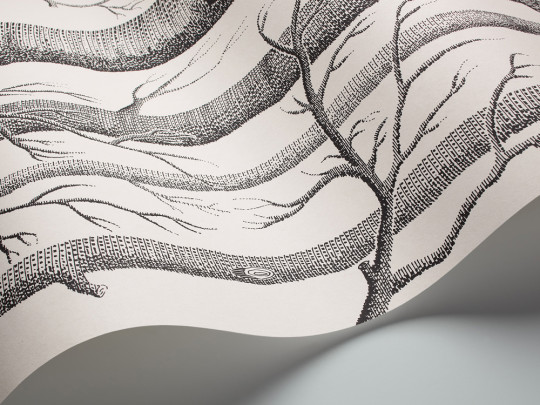 Woods - Designtapete von Cole and Son - Offwhite/ Schwarz
