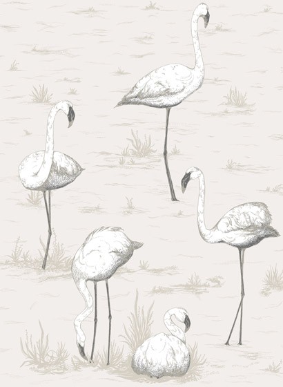 Flamingos - Designtapete von Cole and Son - Charcoal