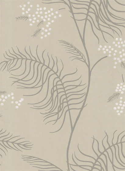 Mimosa - Designtapete von Cole and Son - Beige/ Weiß/ Grau