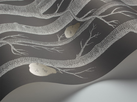 Woods & Pears - Designtapete von Cole and Son - Charcoal