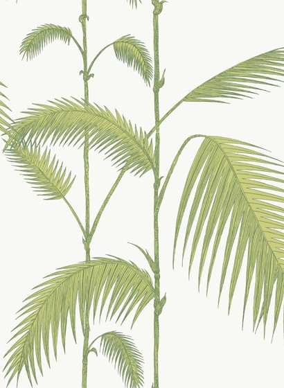 Palm - Designtapete von Cole and Son - Leaf Green on Ivory