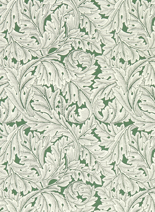 Clarke & Clarke Wallpaper Acanthus - Sage