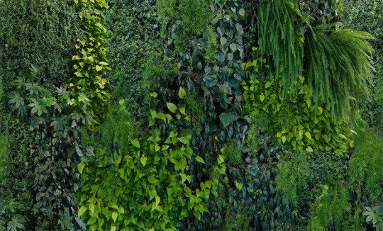 Wandbild Green Wall von MR PERSWALL