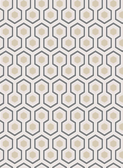 Hicks' Hexagon - Designtapete von Cole & Son - Gilver/ White