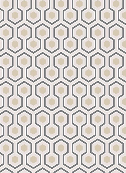 Hicks' Hexagon - Designtapete von Cole & Son - Gilver/ White