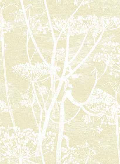Cow Parsley - Designtapete von Cole & Son - Straw on White