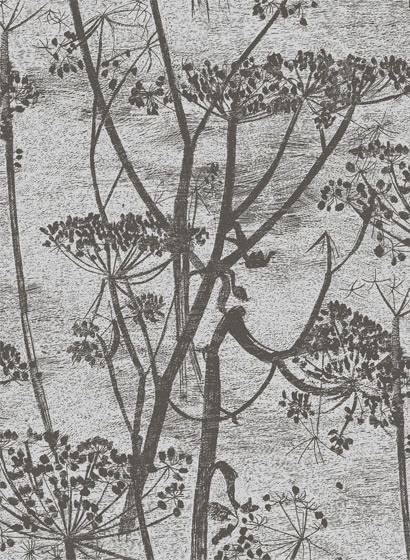 Cow Parsley - Designtapete von Cole & Son - Gilver on Black