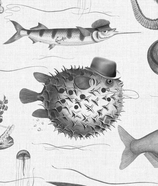 KEK Amsterdam Wallpaper Dandy Fish - WP-803