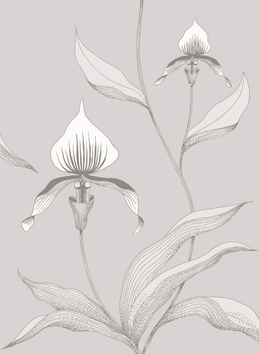 Cole & Son Papier peint Orchid - Grey on White