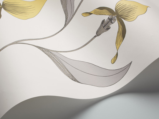Cole & Son Papier peint Orchid - Yellow on White