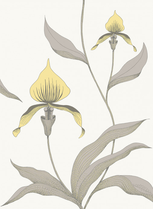 Cole & Son Carta da parati Orchid - Yellow on White