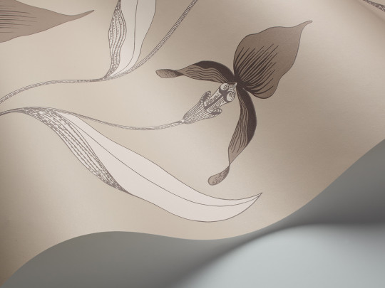 Cole & Son Carta da parati Orchid - Linen on White