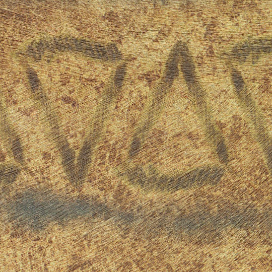 Élitis Mural Tigre Royal